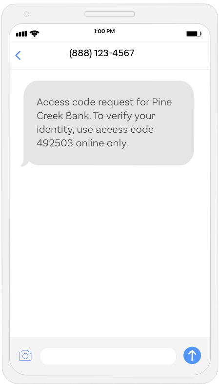 Access code request for Pine Creek Bank. To verify your identity, use access code 492503 online only.